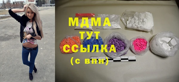 молекула духа Богданович