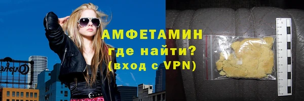 молекула духа Богданович