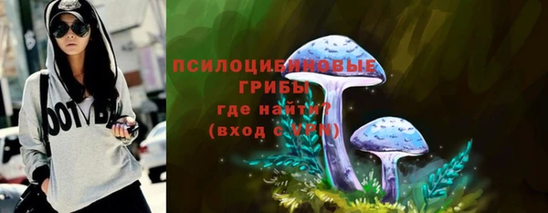 молекула духа Богданович