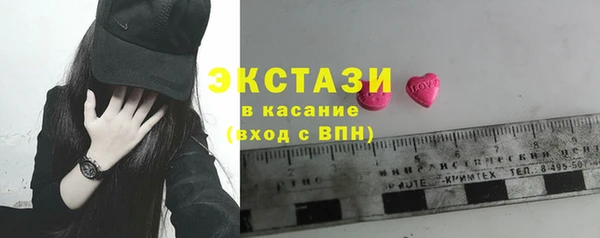 молекула духа Богданович