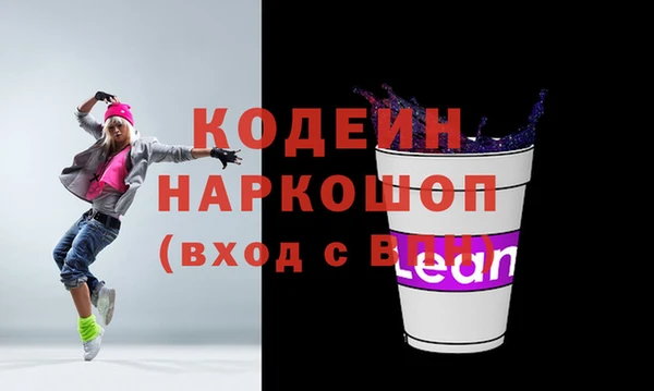 молекула духа Богданович